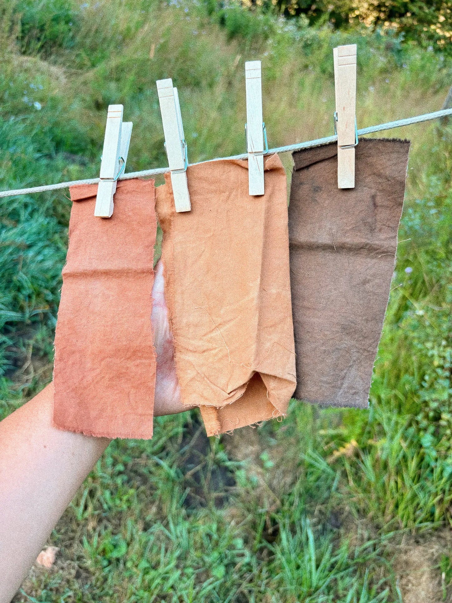 Ancestral Color: California Native Plants for Natural Dyeing
