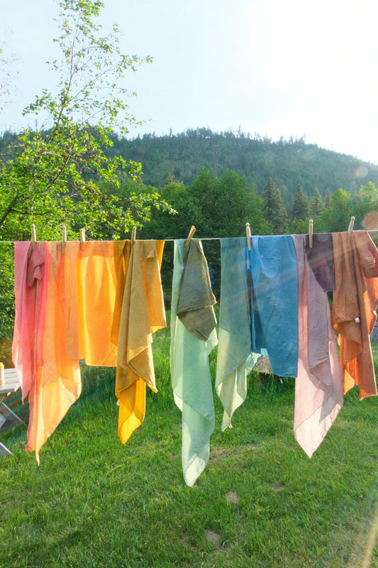 The Living Palette: Rediscovering Nature, Culture, and Color Through Plant Dyes