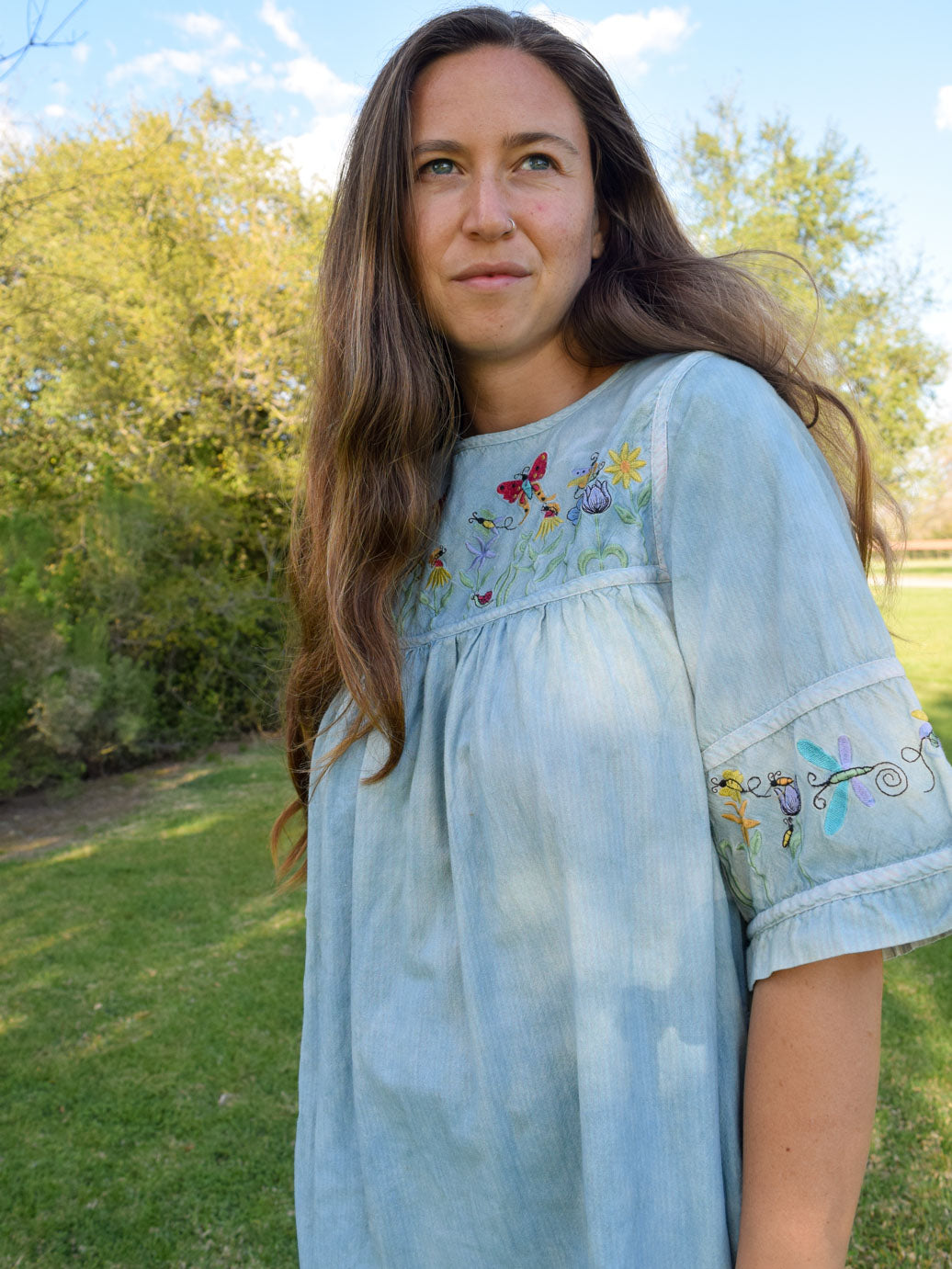 Indigo Embroidered Day Dress