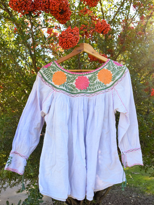 Sequoia, Cutch, & Lac Embroidered Gauze Long Sleeve Crop