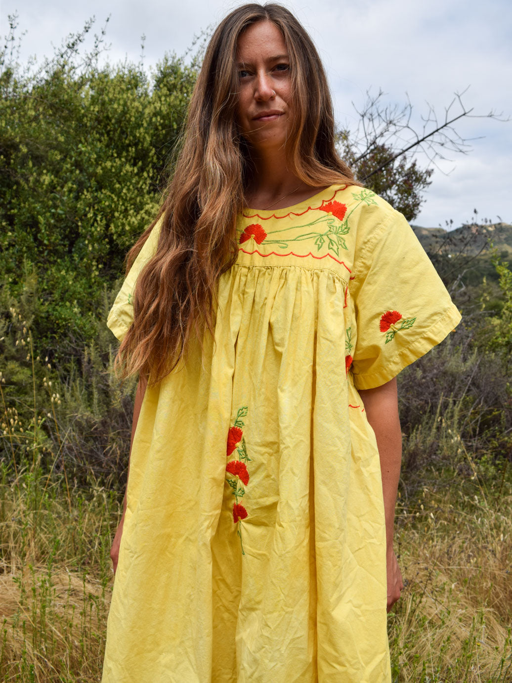 Weld & Marigold Embroidered Midi Dress