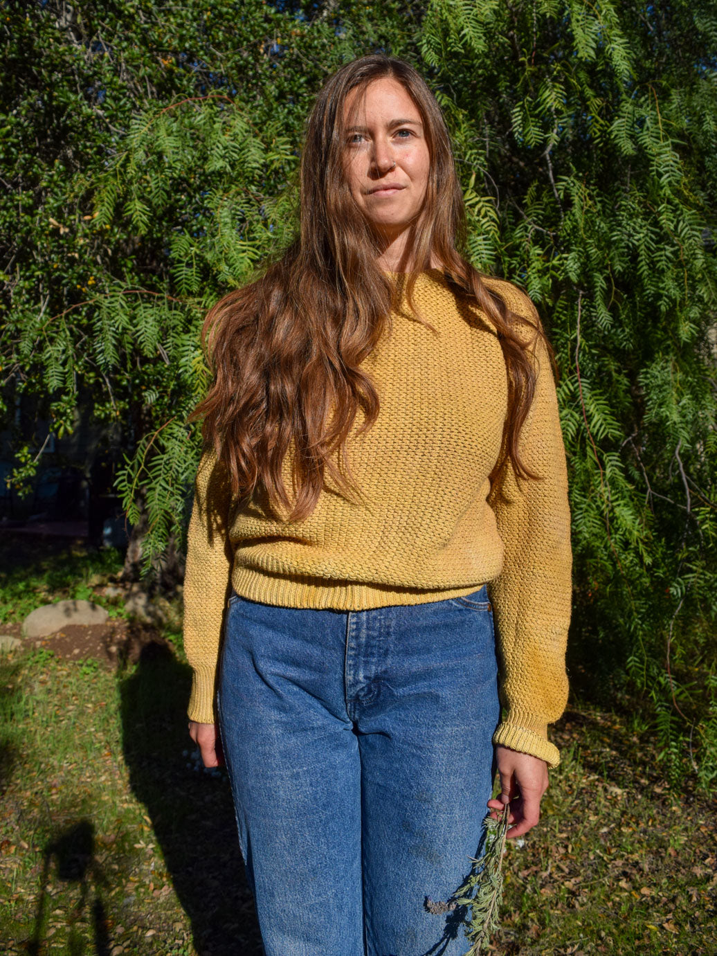 Marigold Cotton Knit Sweater