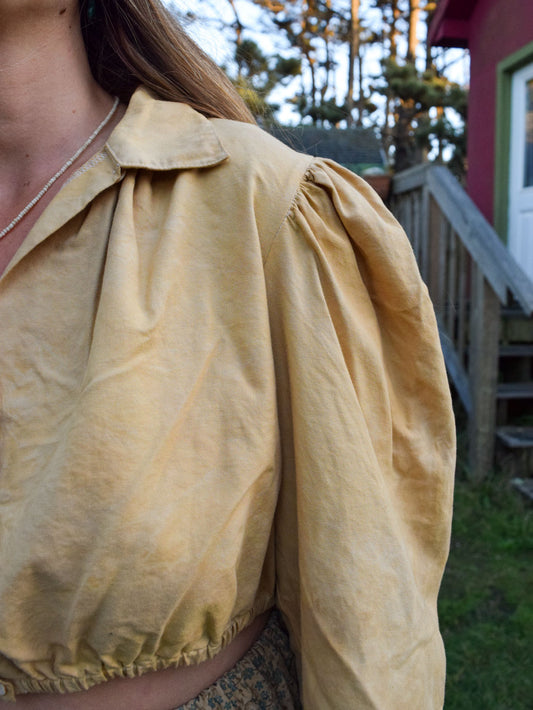 Cutch & Marigold Long Sleeve Collared Crop