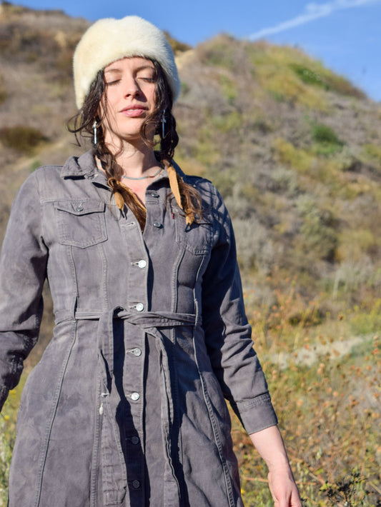 Walnut & Iron Levi's Denim Dress