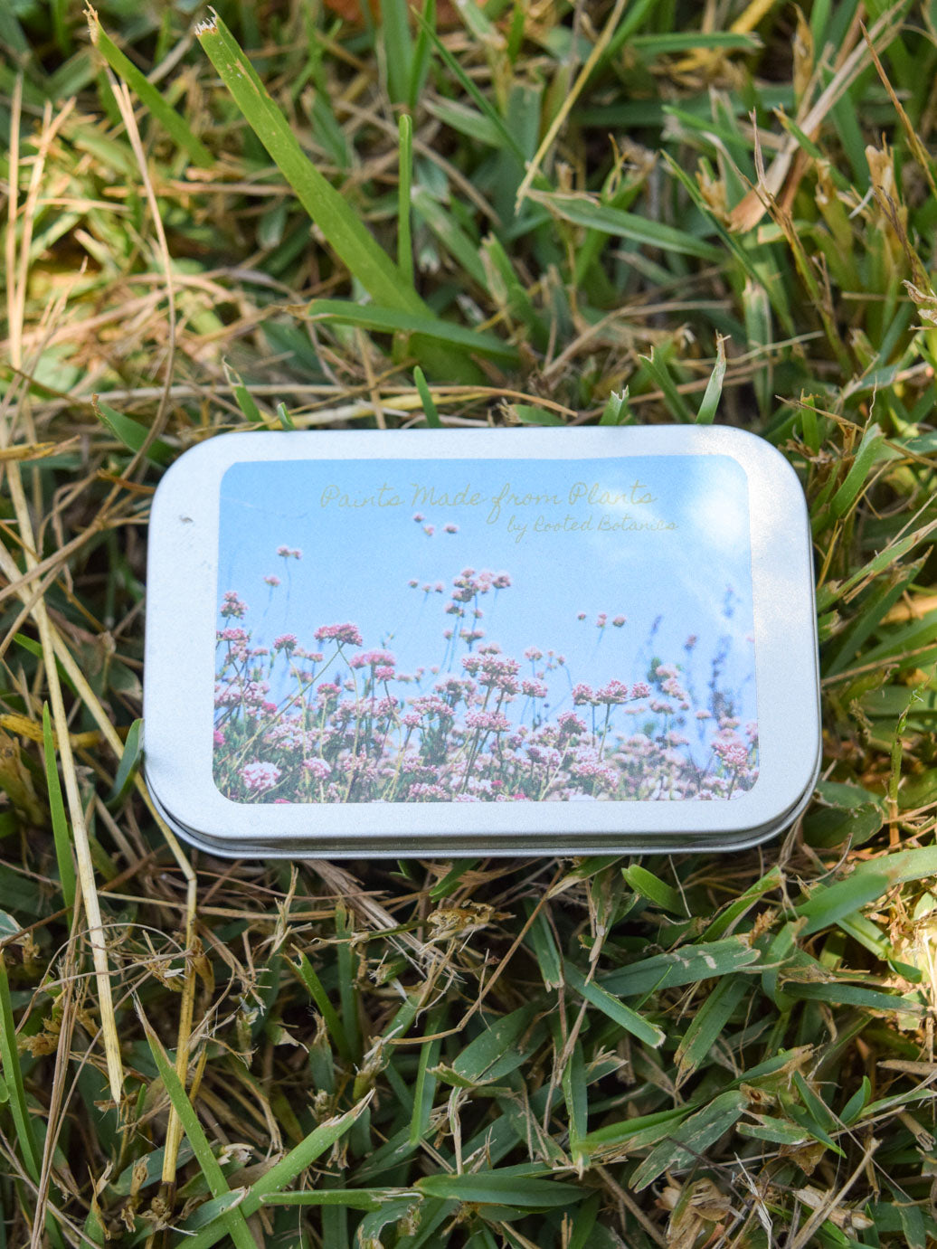 Watercolor Paints Made From Plants