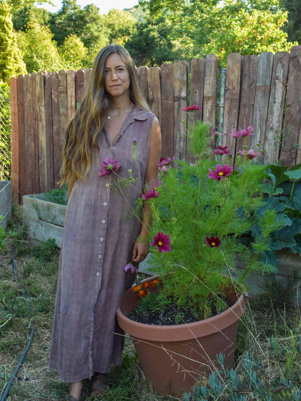 Logwood & Cutch Collared Plaid Dress