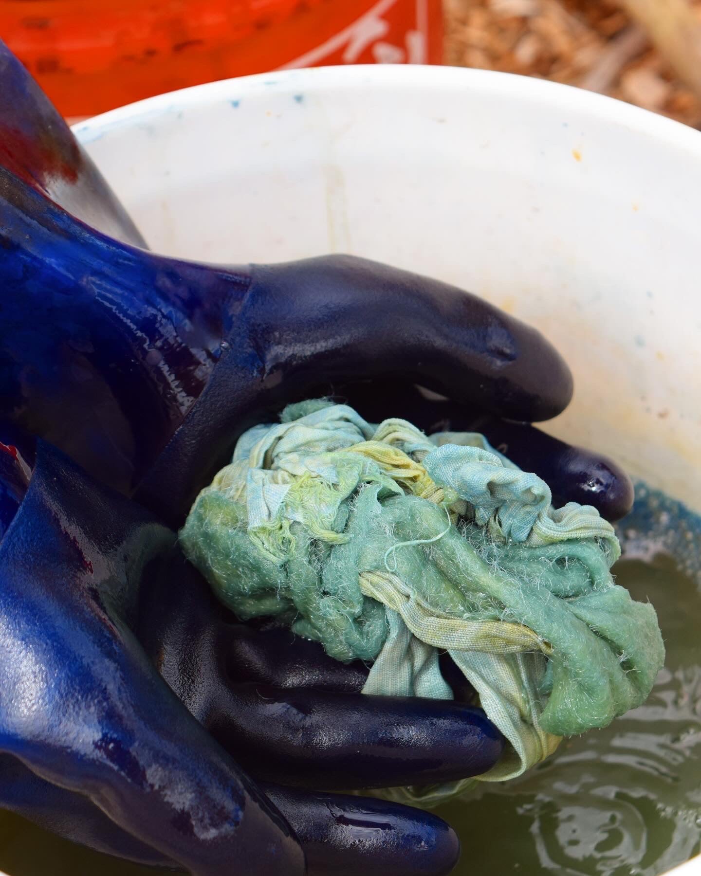 Plant Dye Immersion Course