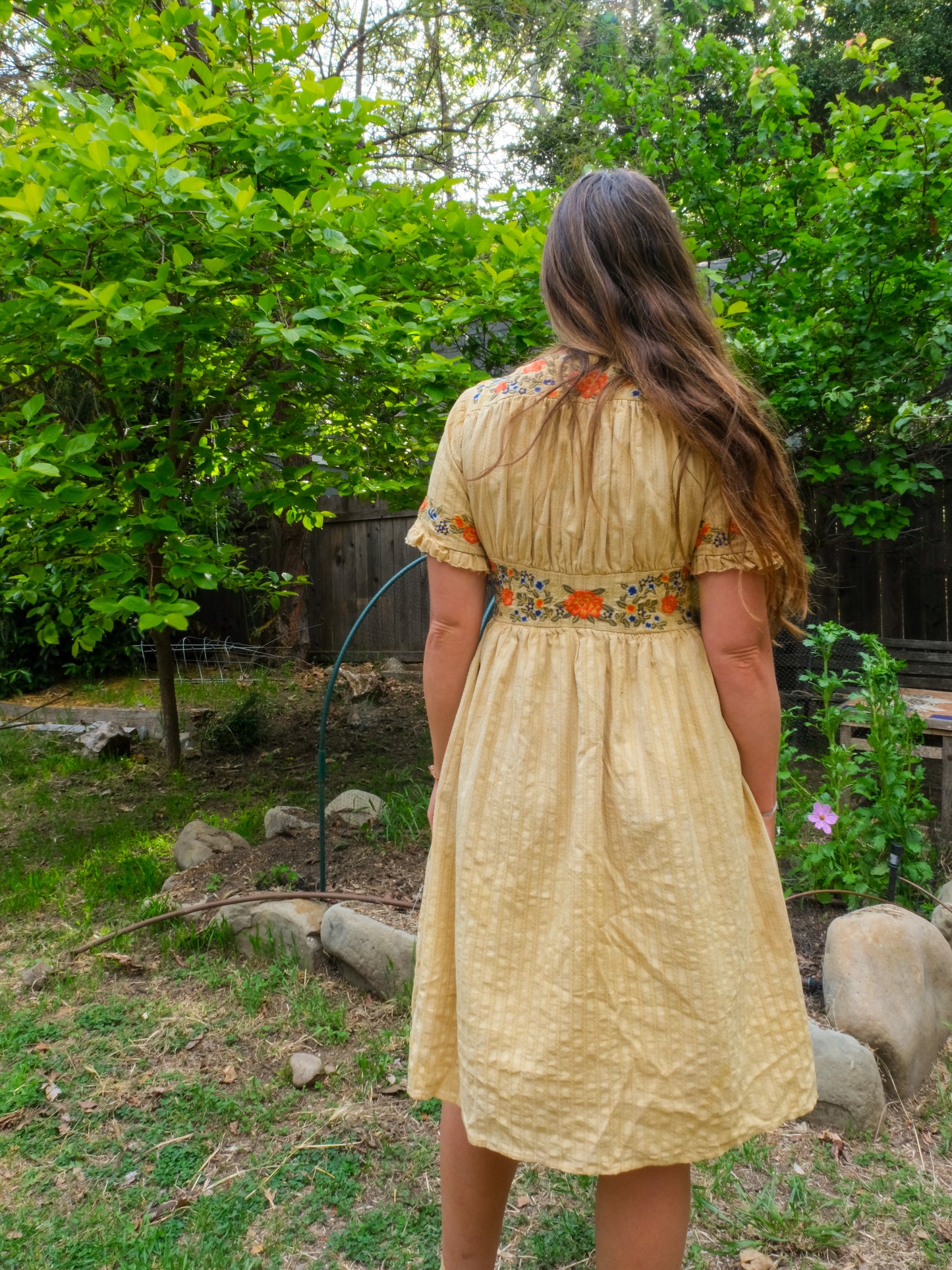 Pomegranate Embroidered Fitted Dress