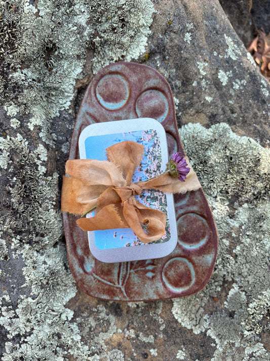 Watercolor Plant Paint Gift Set- Seascape