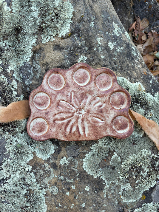 Watercolor Plant Paint Gift Set- Oat