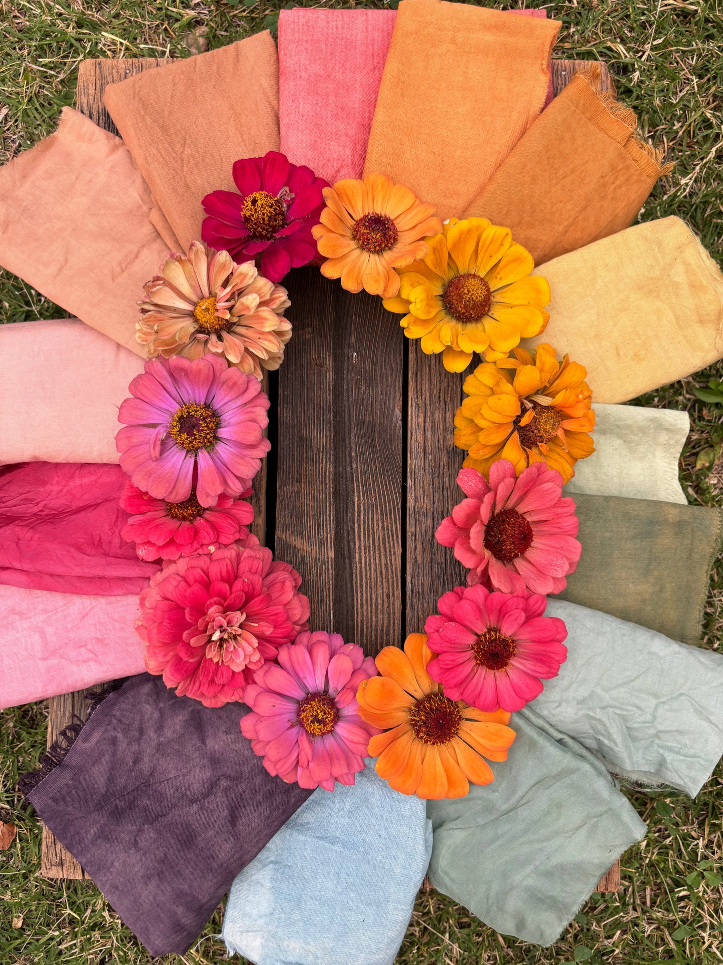 Plant Rainbow Subscription Club