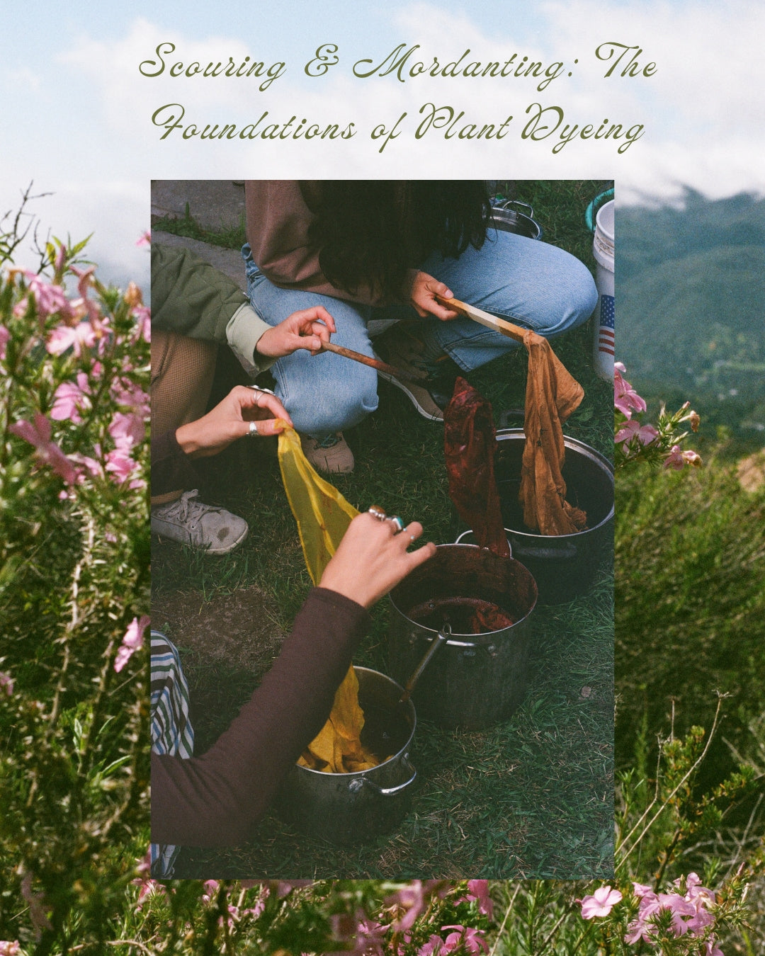 Scouring & Mordanting: The Foundation of Plant Dyeing