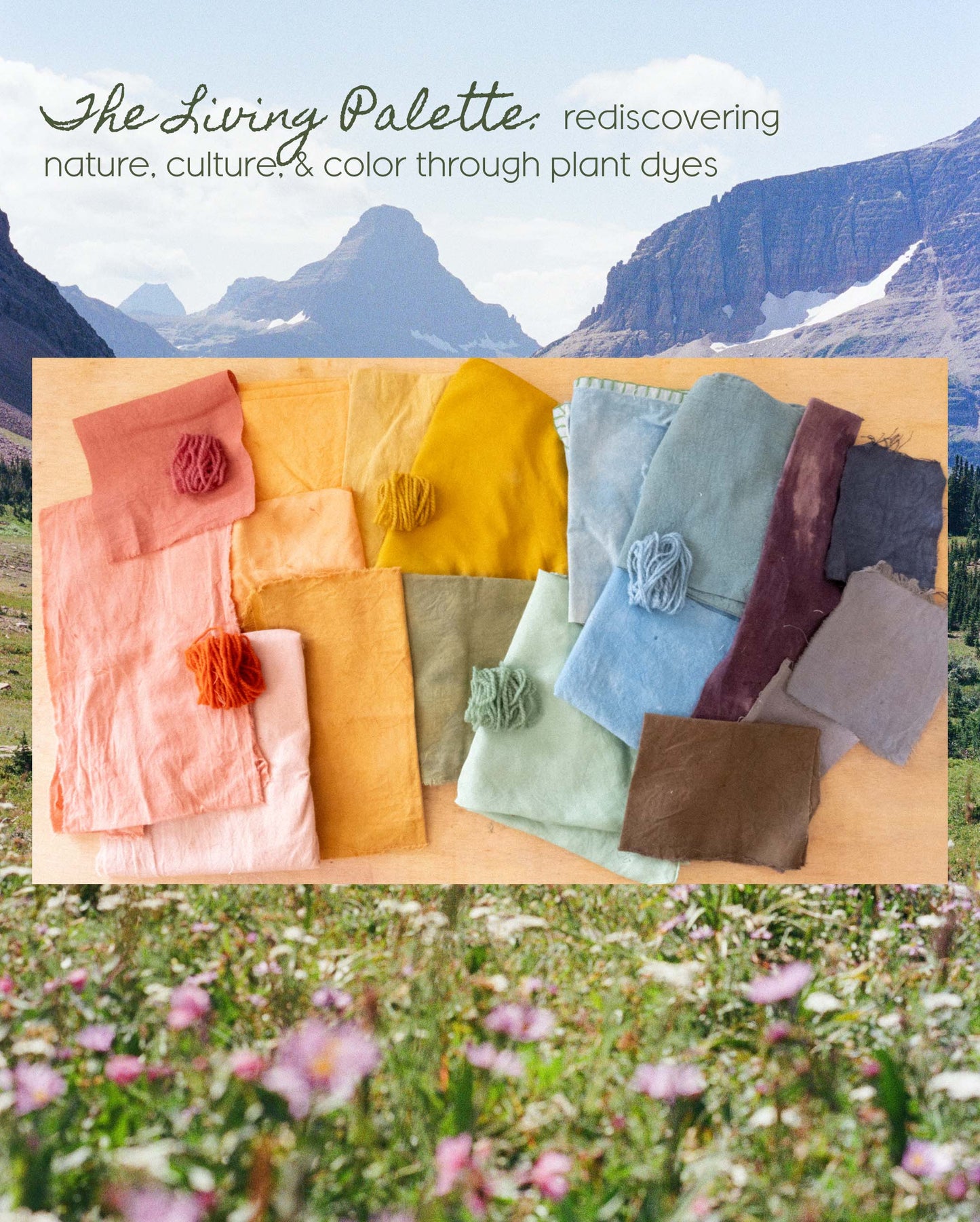 The Living Palette: Rediscovering Nature, Culture, and Color Through Plant Dyes