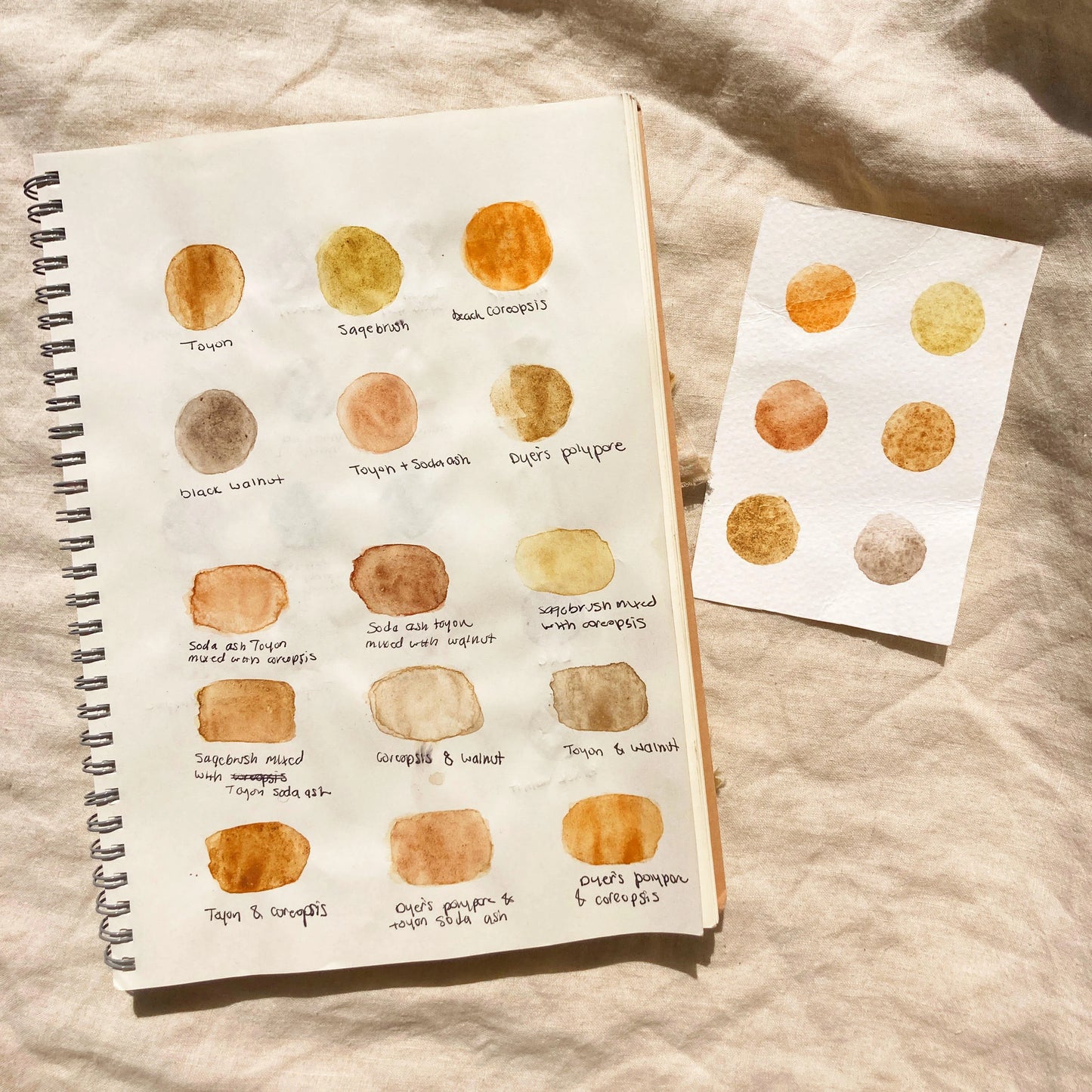 From Plant to Oil Paint: A Conscious Approach to Creativity