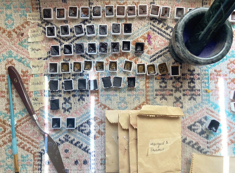 Plant Paint Workshop