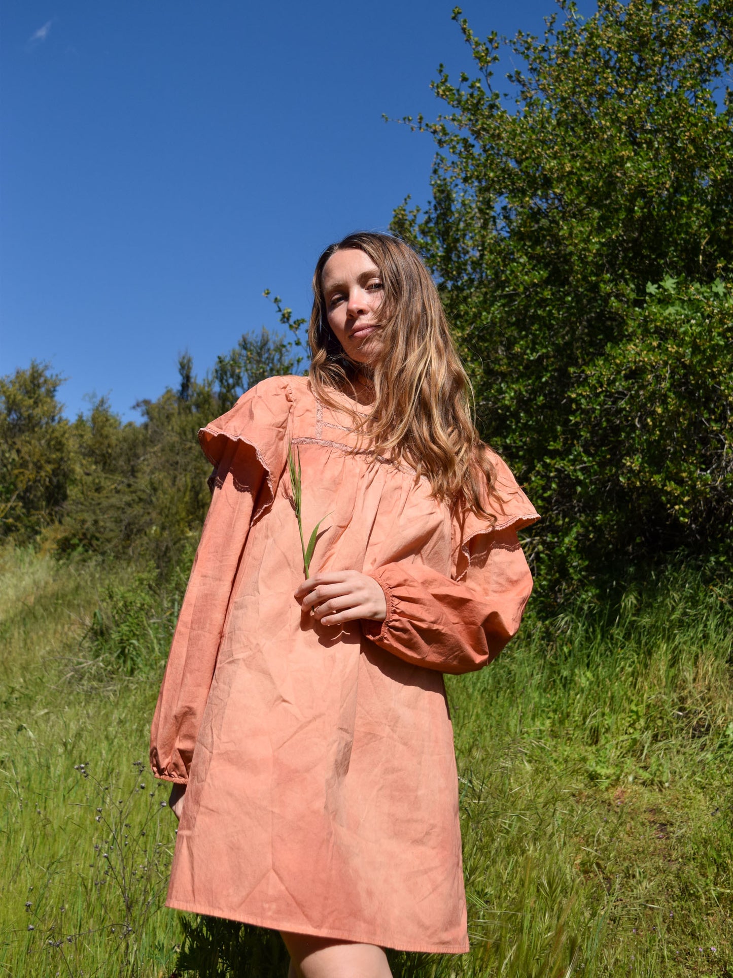 Madder Ruffle and Lace Mini Dress