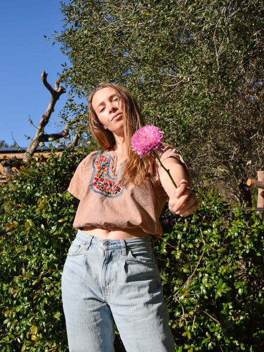 Madder & Iron Short Sleeve Embroidered Crop