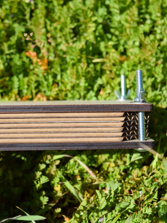 Wooden Flower Press - Mushrooms