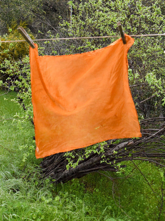 Beach Coreopsis Silk Scarf