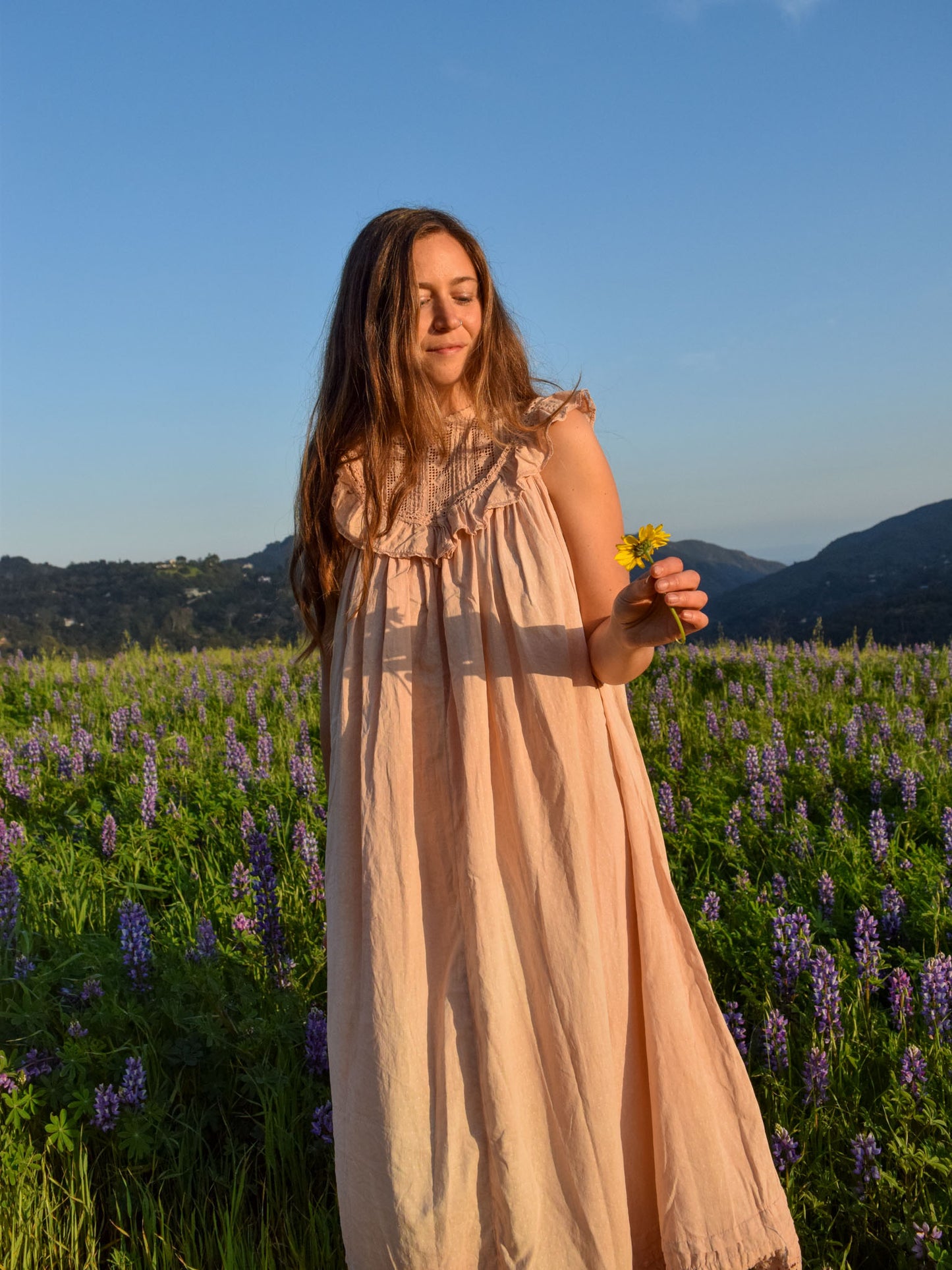 Toyon Antique High Neck Ruffle Dress