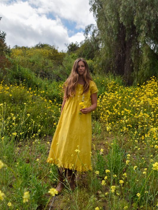 Marigold Laura Ashley Pleated Lace Dress