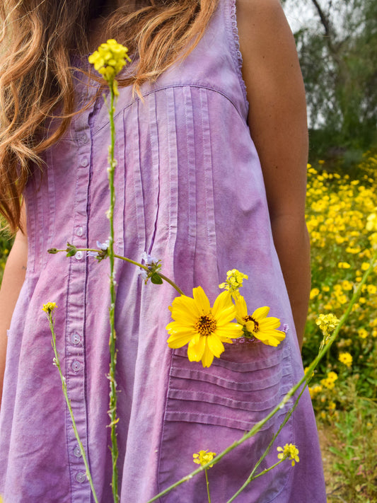 Lac and Logwood Pleated Pocket Dress