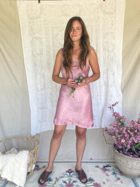 Schisandra Lace & Silk Slip Dress