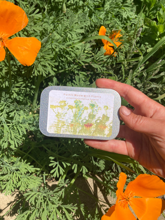 Watercolor Paints Made From Plants- California Native Palette