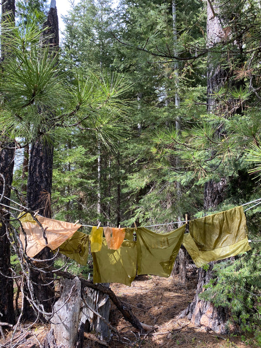 Mushroom Dye Workshop