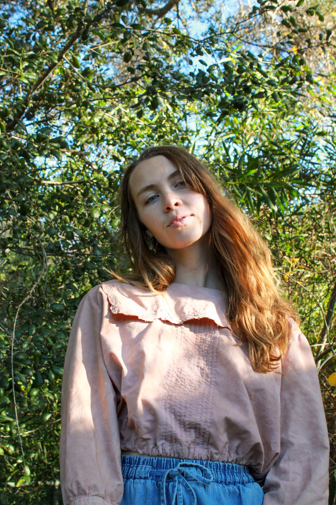 Cutch & Logwood Embroidered Collared Crop