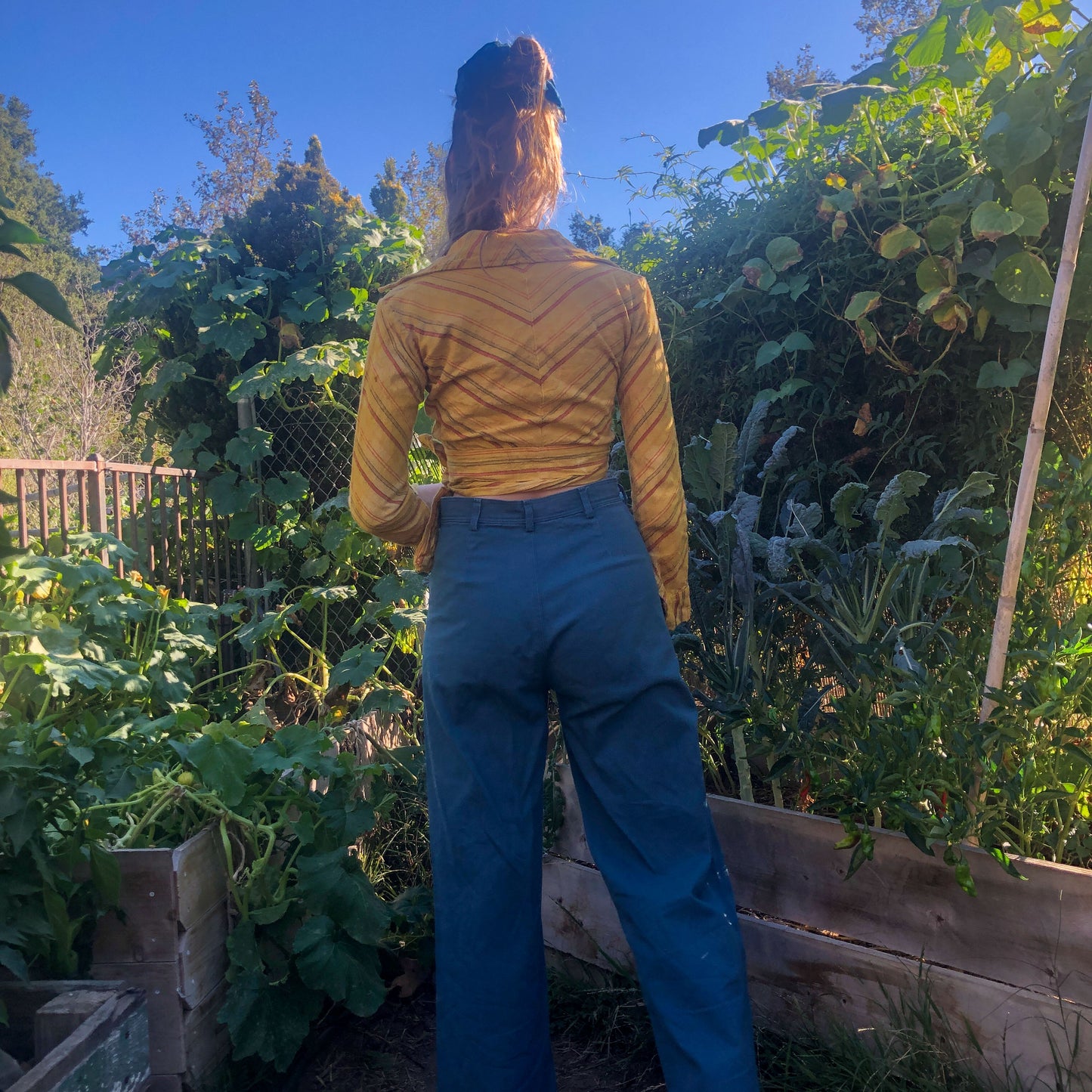 Marigold Striped 70s Cowboy Crop