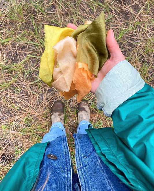 Intro to Plant Dye: 2 Part Workshop