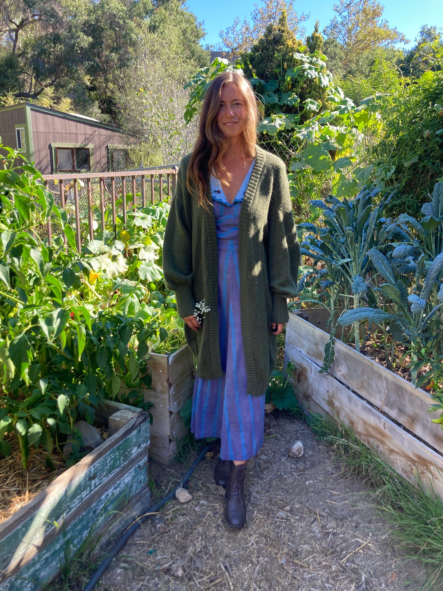 Indigo Collared Dress