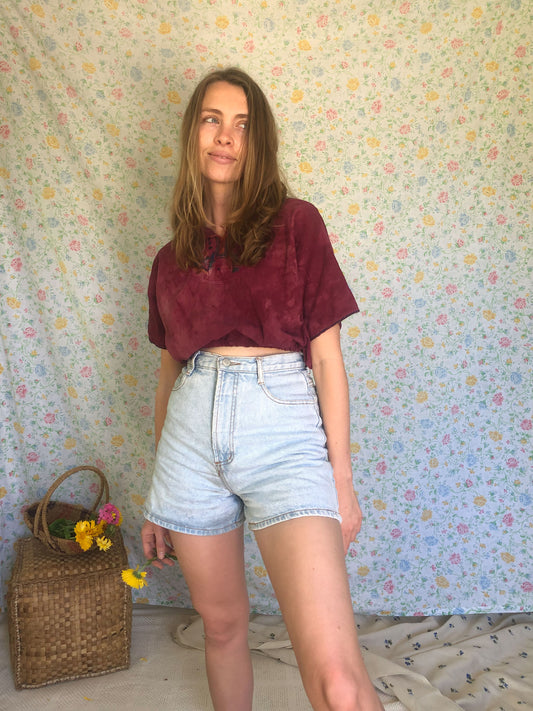 Deep Lac Traditional Huipil Crop