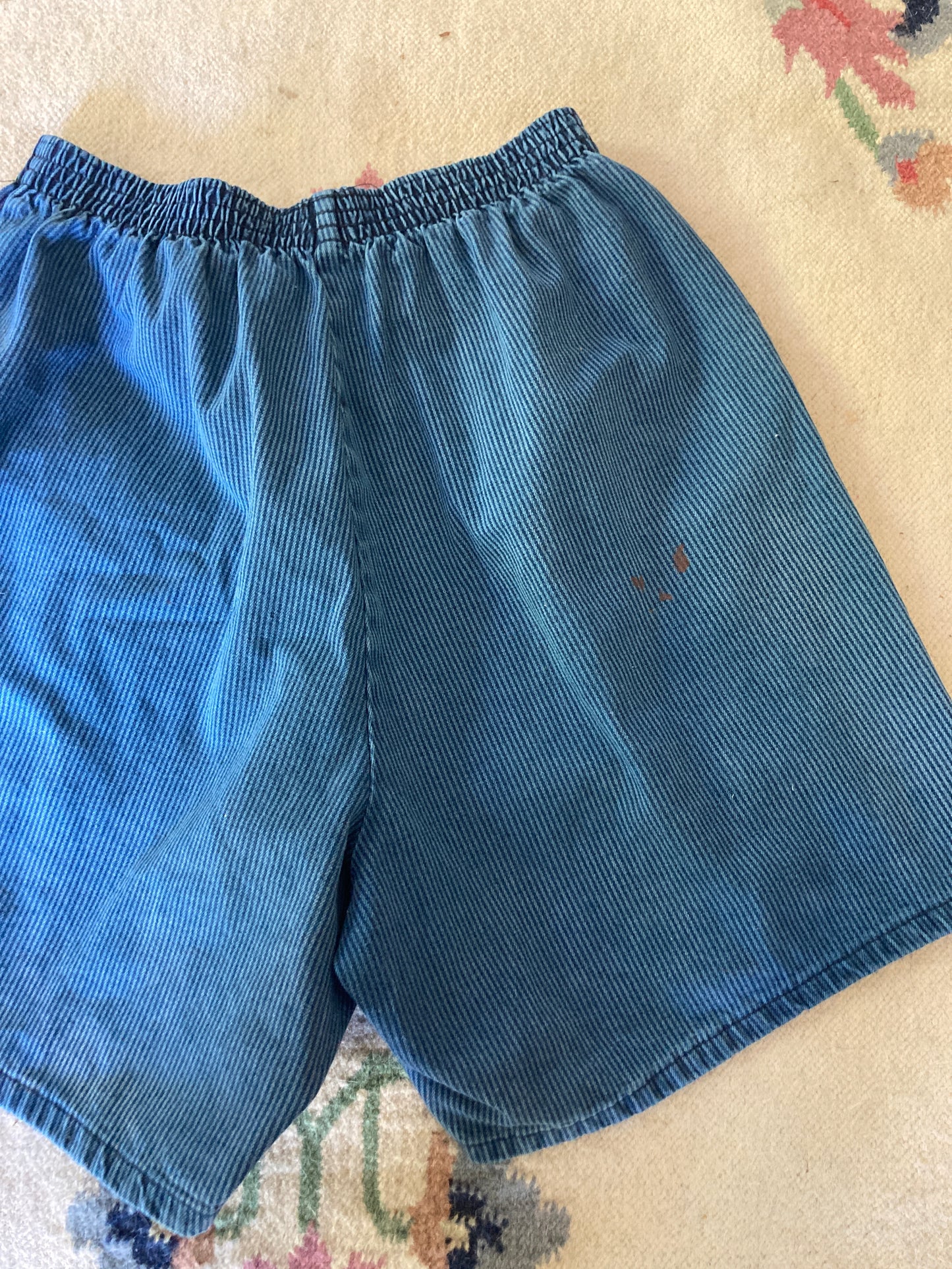 Indigo Railroad Boy Shorts