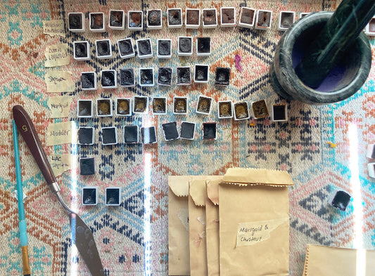 Creating Watercolors From Dye Plants Workshop