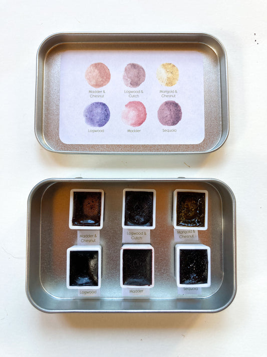 Creating Watercolors From Dye Plants Workshop