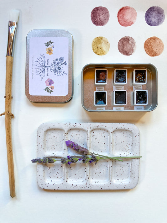Plant Paint Gift Set