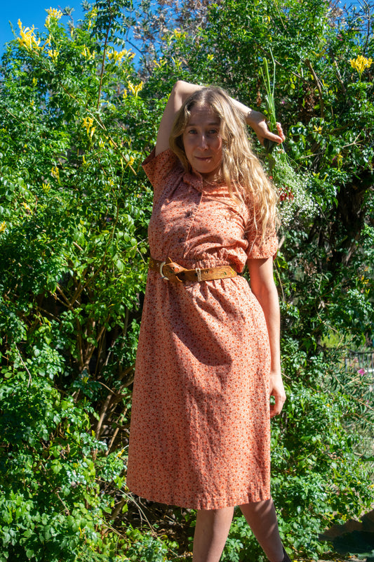 Madder Floral Peter Pan Collared Dress