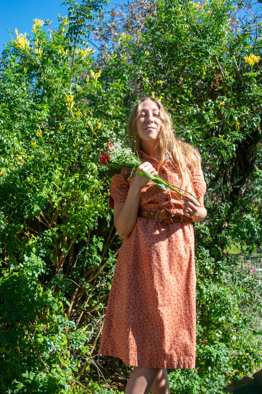 Madder Floral Peter Pan Collared Dress