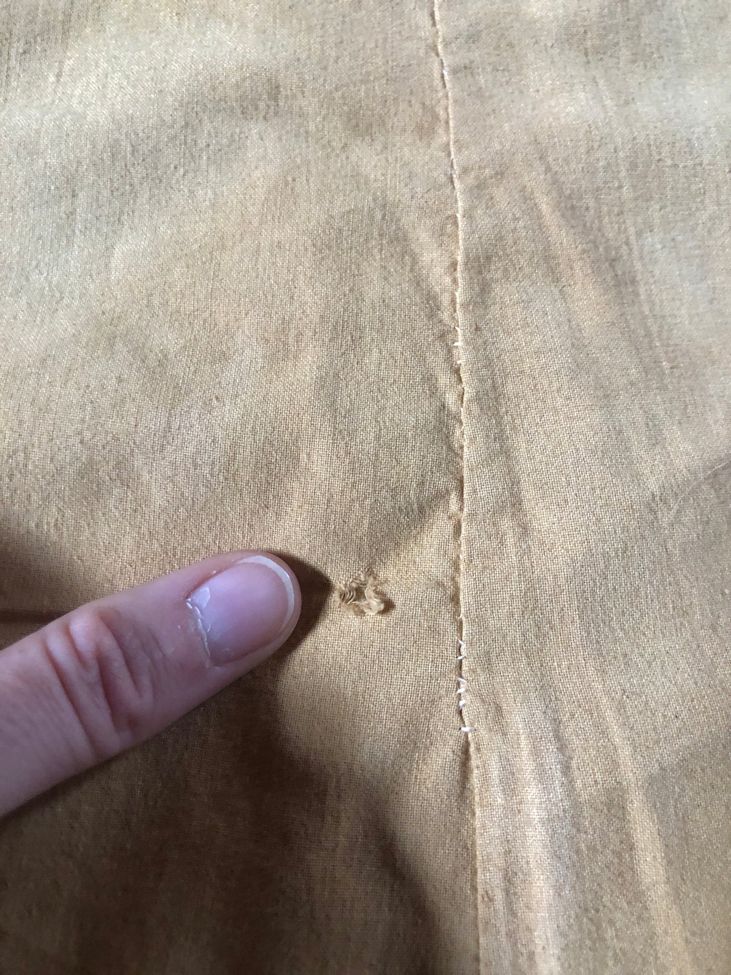 Toyon Lace Collar A-line Dress