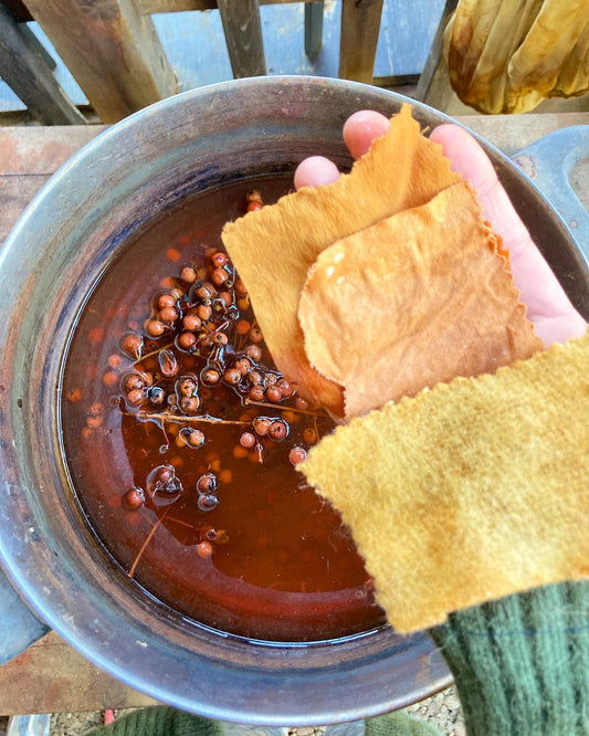 Ancestral Color: California Native Plants for Natural Dyeing