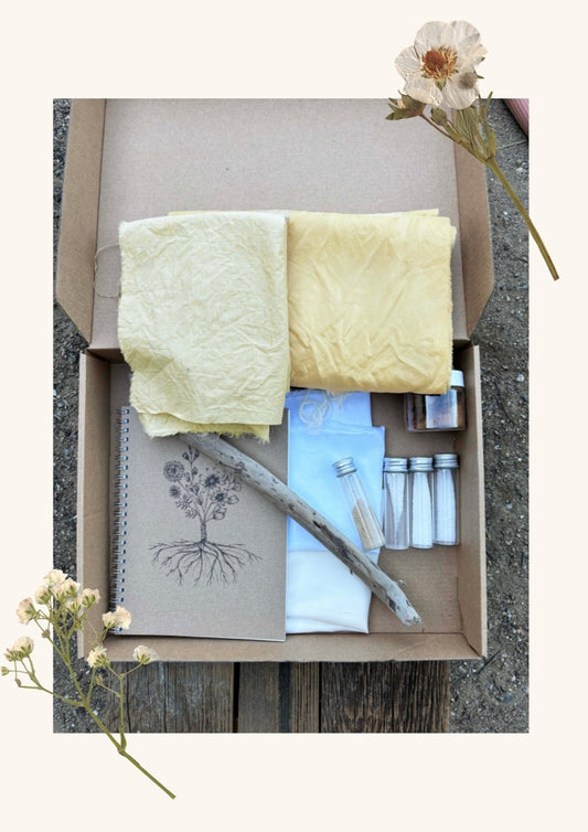 Plant Rainbow Subscription Club