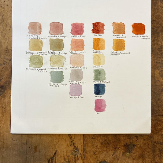 Watercolor Paints Made From Plants