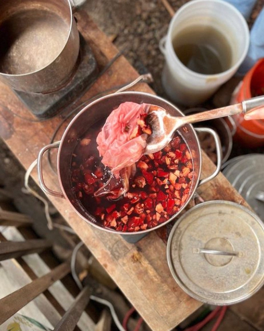 Workshops – Rootedbotanics