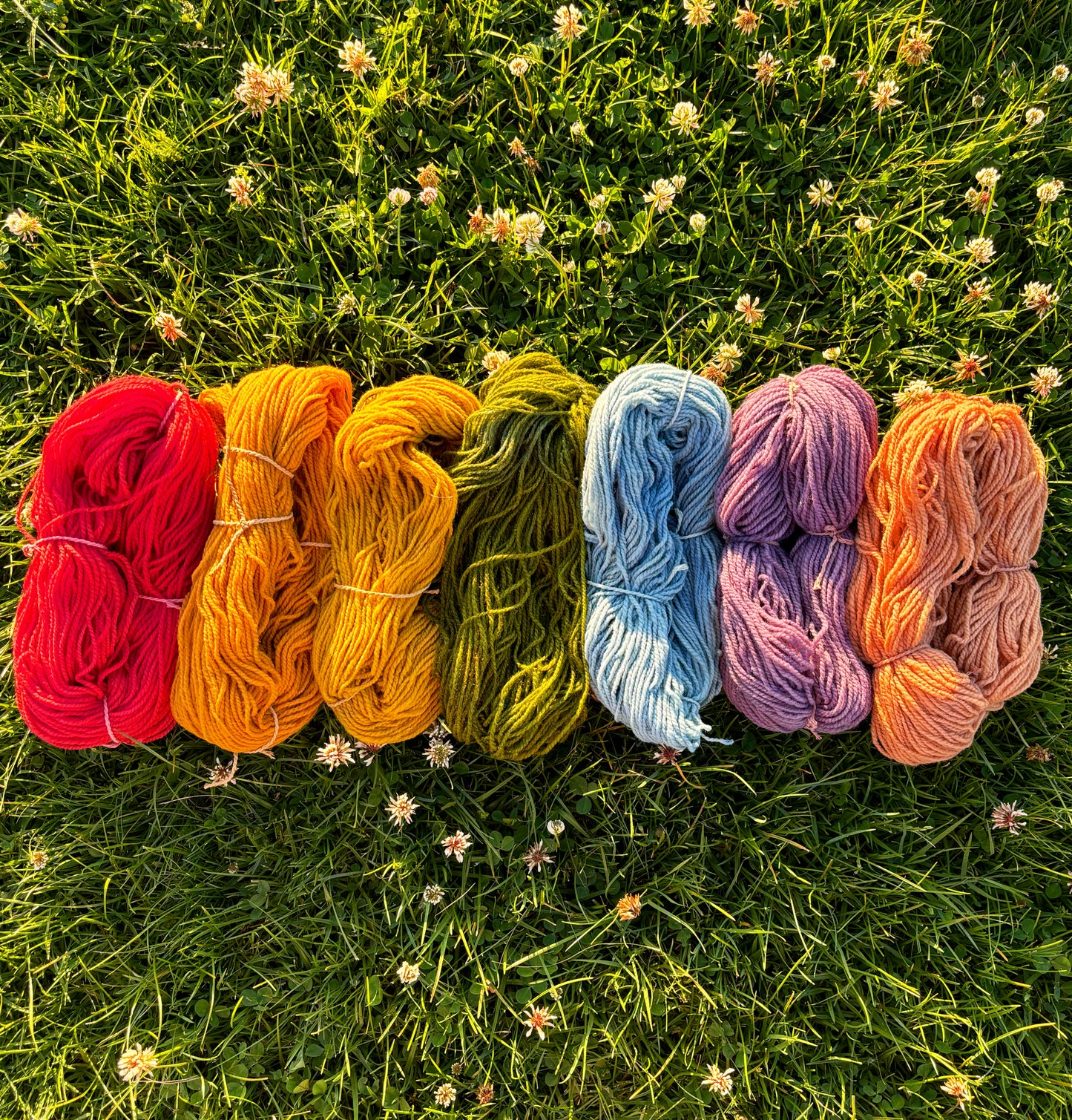 Plant Dyed Merino Wool Yarn