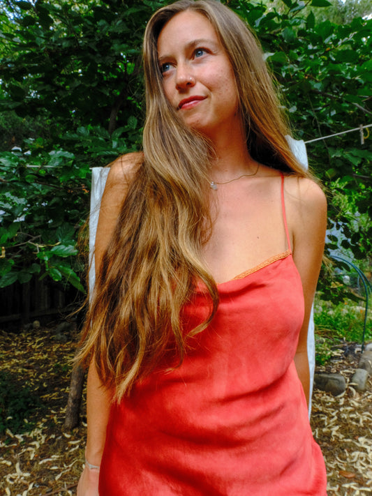 Madder Silk Slip Dress