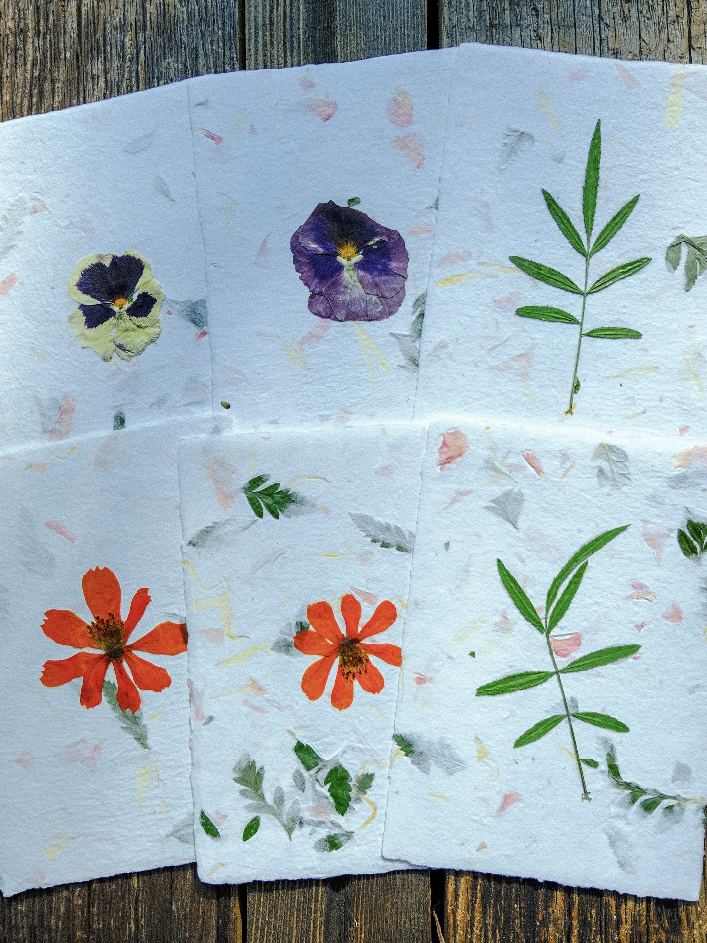 Garden Flower Card Set