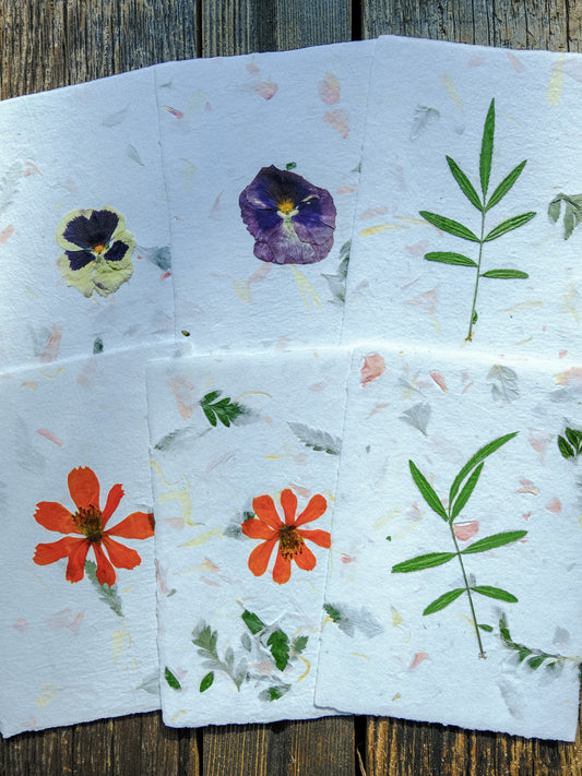 Garden Flower Card Set