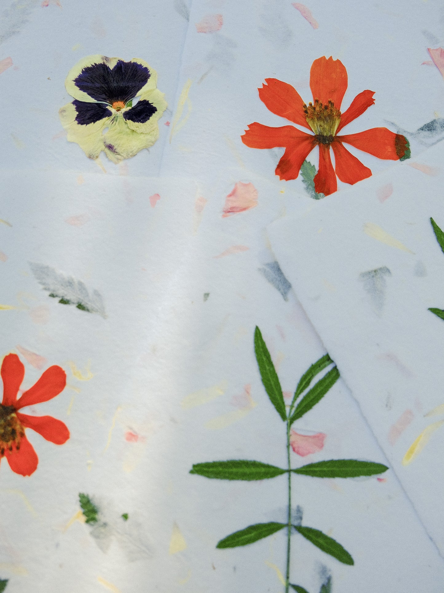 Garden Flower Card Set